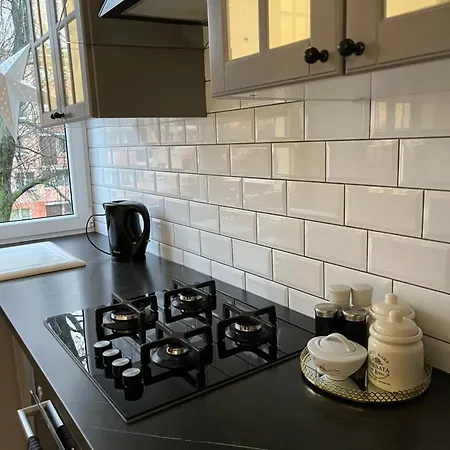 Klimatyczne Mieszkanie W Centrum